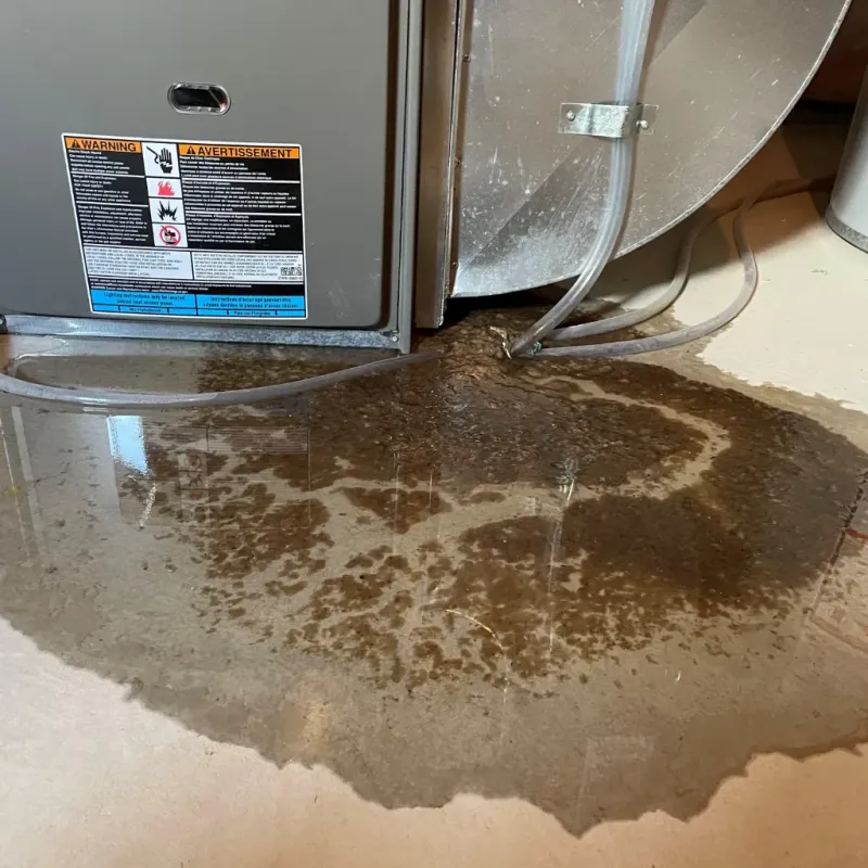 Appliance Leak Cleanup in Anson, TX